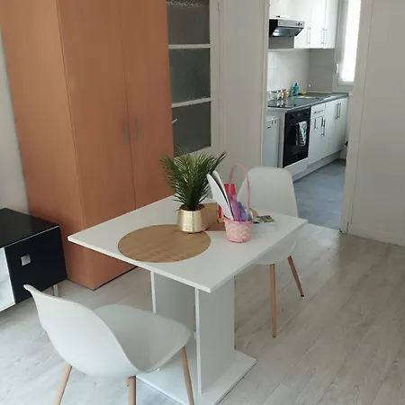 Apartamento Lumineux 30m2 Sur Centre *